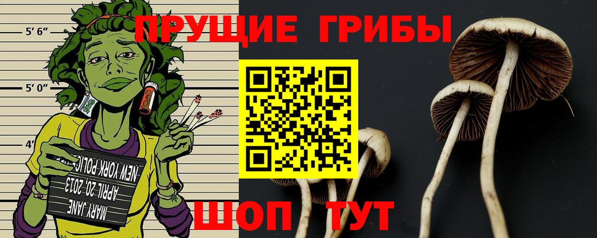 Галлюциногенные грибы мухоморы  цены   Одинцово  Вход с VPN 